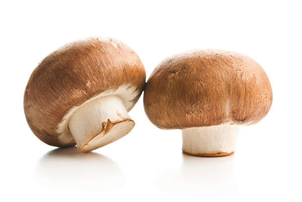 Produktfoto zu Steinchampignon 200g-Schale