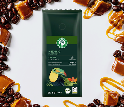 Produktfoto zu Mexiko Plantagen Kaffee Bohnen 250g