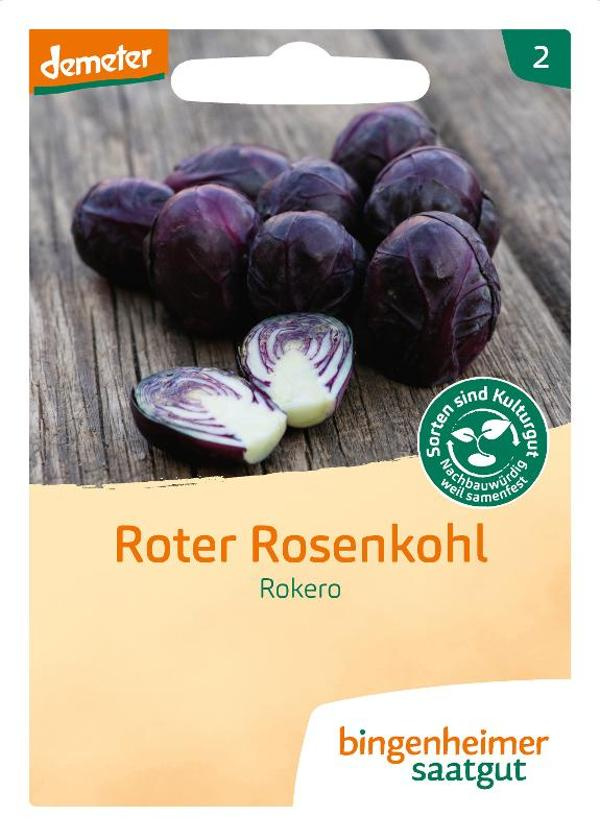 Produktfoto zu Saatgut Roter Rosenkohl Rokero