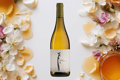 Produktfoto zu Falcata Blanco, Weingut Vivolovin, 0,75l
