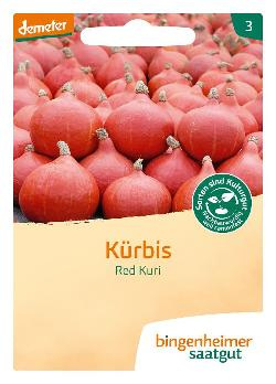 Produktfoto zu Saatgut Hokkaido Kürbis Red Kuri