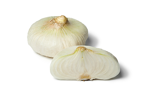 Produktfoto zu Zwiebeln weiss flach "Neue Ernte"