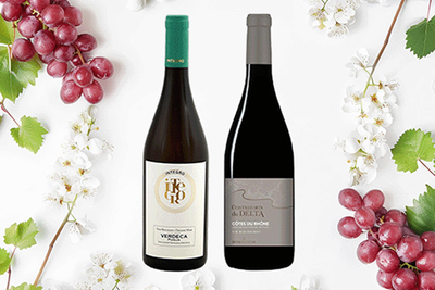 Produktfoto zu Fruchtiges Wein Duo