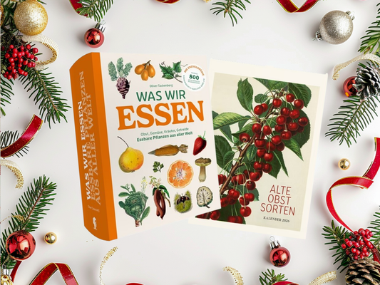 KI generiert: Buch "Was wir essen" und Kalender "Alte Obstsorten" umgeben von Weihnachtsdekoration.