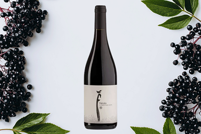 Produktfoto zu Falcata Tinto, Pago Casa Gran, 0,75l