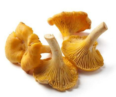 Produktfoto zu Pfifferlinge, 100g
