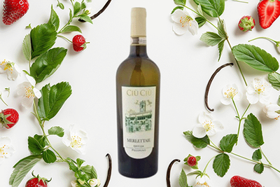 Produktfoto zu Pecorino D.O.C.G, "Merlettaie", Azienda Ciù Ciù, 0,75l