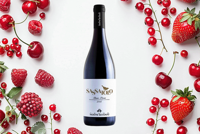 Produktfoto zu Sassaiolo Rosso Piceno DOP, Tenuta Pieralisi, 0,375l