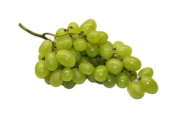 Produktfoto zu Trauben weiß kernlos 500g