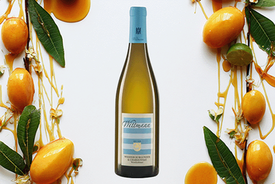 Produktfoto zu Westhofener WB_CH VDP. Ortswein, Weingut Wittmann, 0,75l