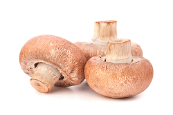 Produktfoto zu Steinchampignon, 200g