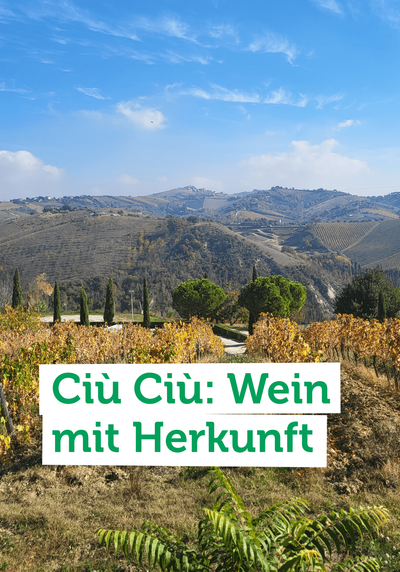Produktfoto zu Ein Besuch im Weingut in den Marken: Biodynamische Weine und herzliche Gastfreundschaft bei Ciù Ciù.