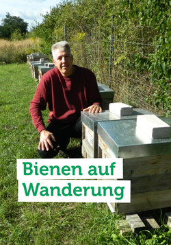 Produktfoto zu Unser regionaler Imker Olaf von beefriends bringt seine Bienenstöcke an verschiedene Orte im Süden von Berlin.