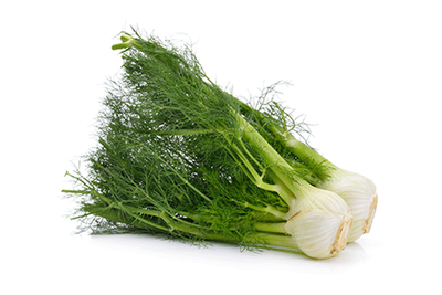 Produktfoto zu Junger Fenchel mit grün