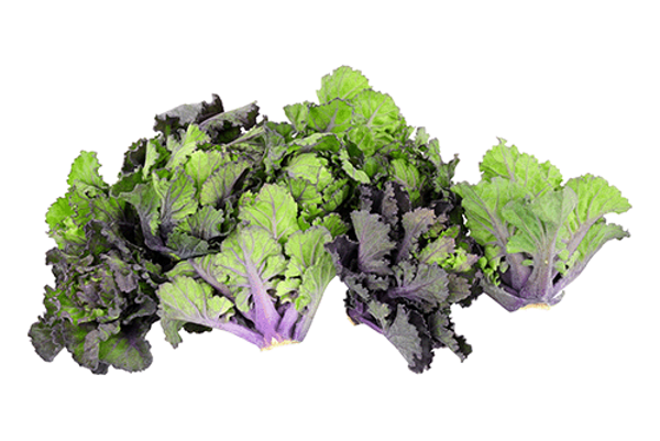 Produktfoto zu Flower Sprouts 125g