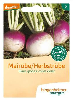 Produktfoto zu Saatgut Mairübchen