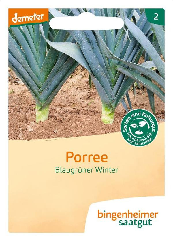 Produktfoto zu Saatgut Porree Blaugrüner Winter