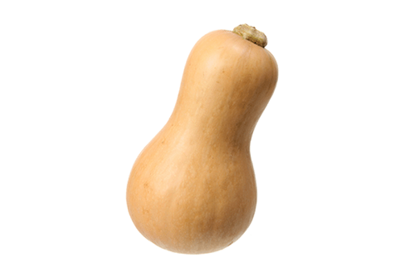 Produktfoto zu Kürbis Butternut